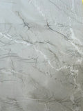 Bianco Superior Polished Quartzite Slab