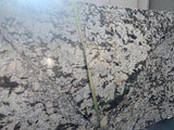Panda Oro Polished Granite Slab